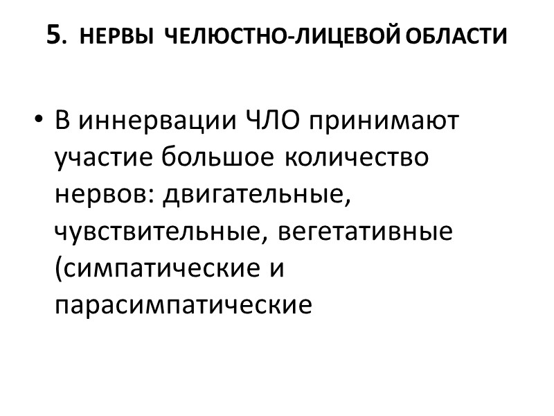 5.  НЕРВЫ  ЧЕЛЮСТНО-ЛИЦЕВОЙ ОБЛАСТИ  В иннервации ЧЛО принимают участие большое количество